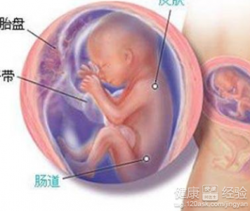 解析胎兒畸形產生原因