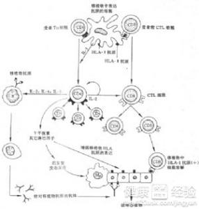 第2步