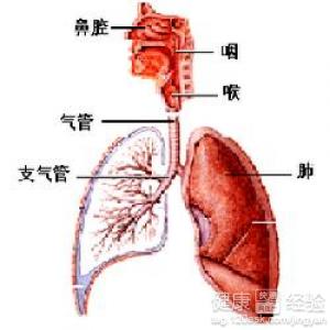 新生兒肺炎症狀