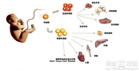 第2步