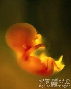 前壁低置胎盤、胎膜早破，剖宮產一定會造成新生兒受傷嗎