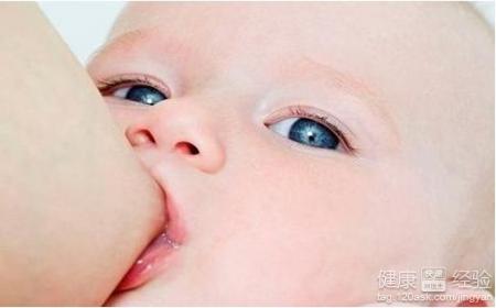 易過敏嬰兒半歲前須吃純母乳