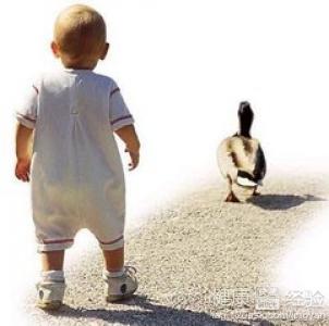 嬰兒過早學走路或影響視力