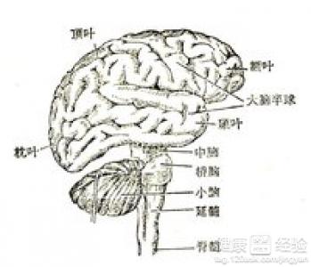 寶寶腦震蕩有哪些後遺症