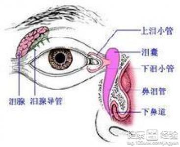 第1步