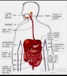 第1步