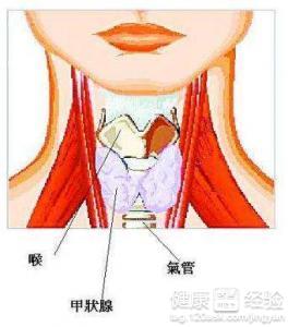 孩子五歲為什麼總是有點口吃