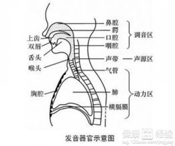 怎樣判斷口吃是器質的還是心理的