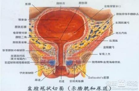 第1步