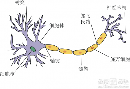 第1步