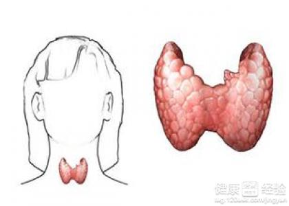 治療矮小症用藥時發現檢查甲狀腺功能有異常怎麼辦